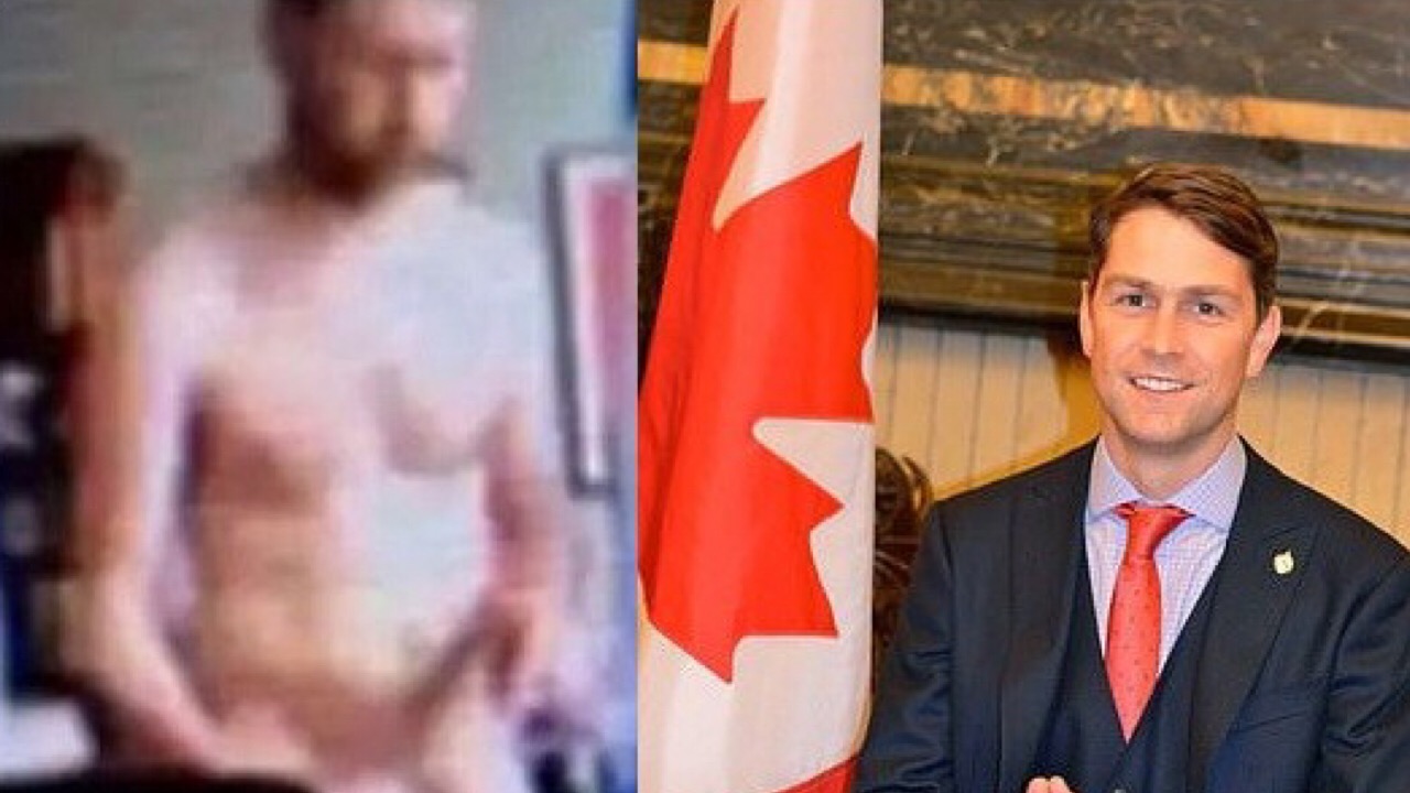 Canadian Lawmaker Mistakenly Appears Completely Naked On Zoom Legislature Meeting
