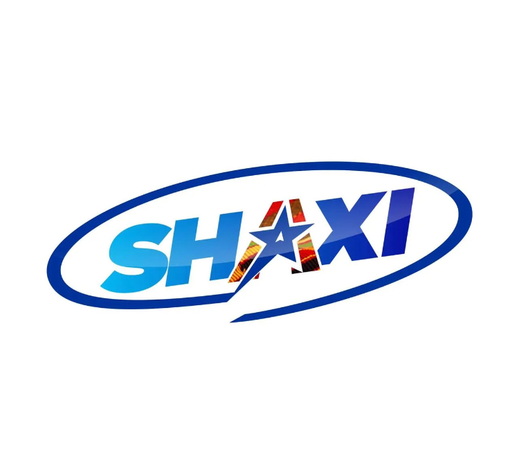 Shaxi Shatta Wale Taxi